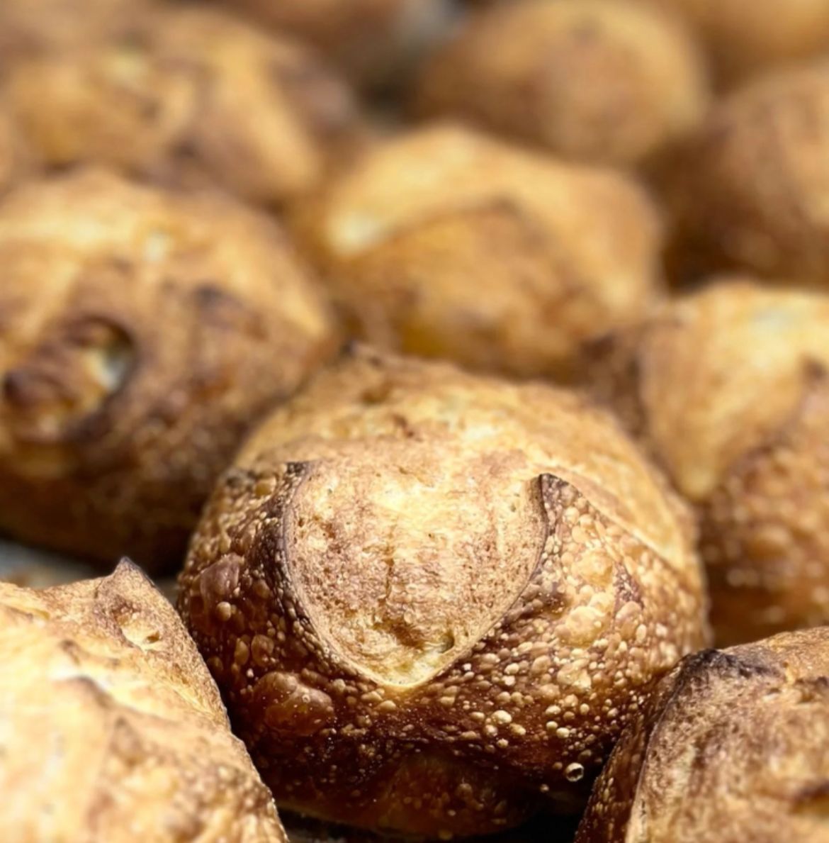 Preparación de ingredientes frescos en cocina