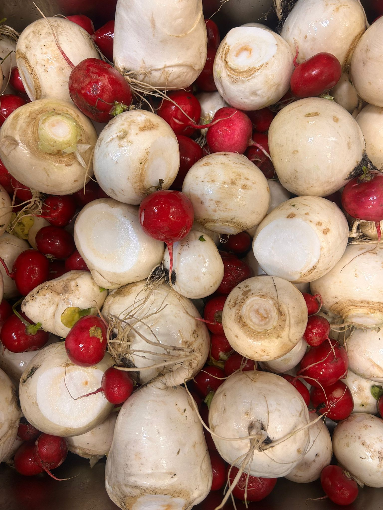 Fachada o entrada de PLATO